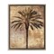Stupell Industries Distressed Palm Tree Floater Framed Canvas Wall Art Design by Dan Sproul